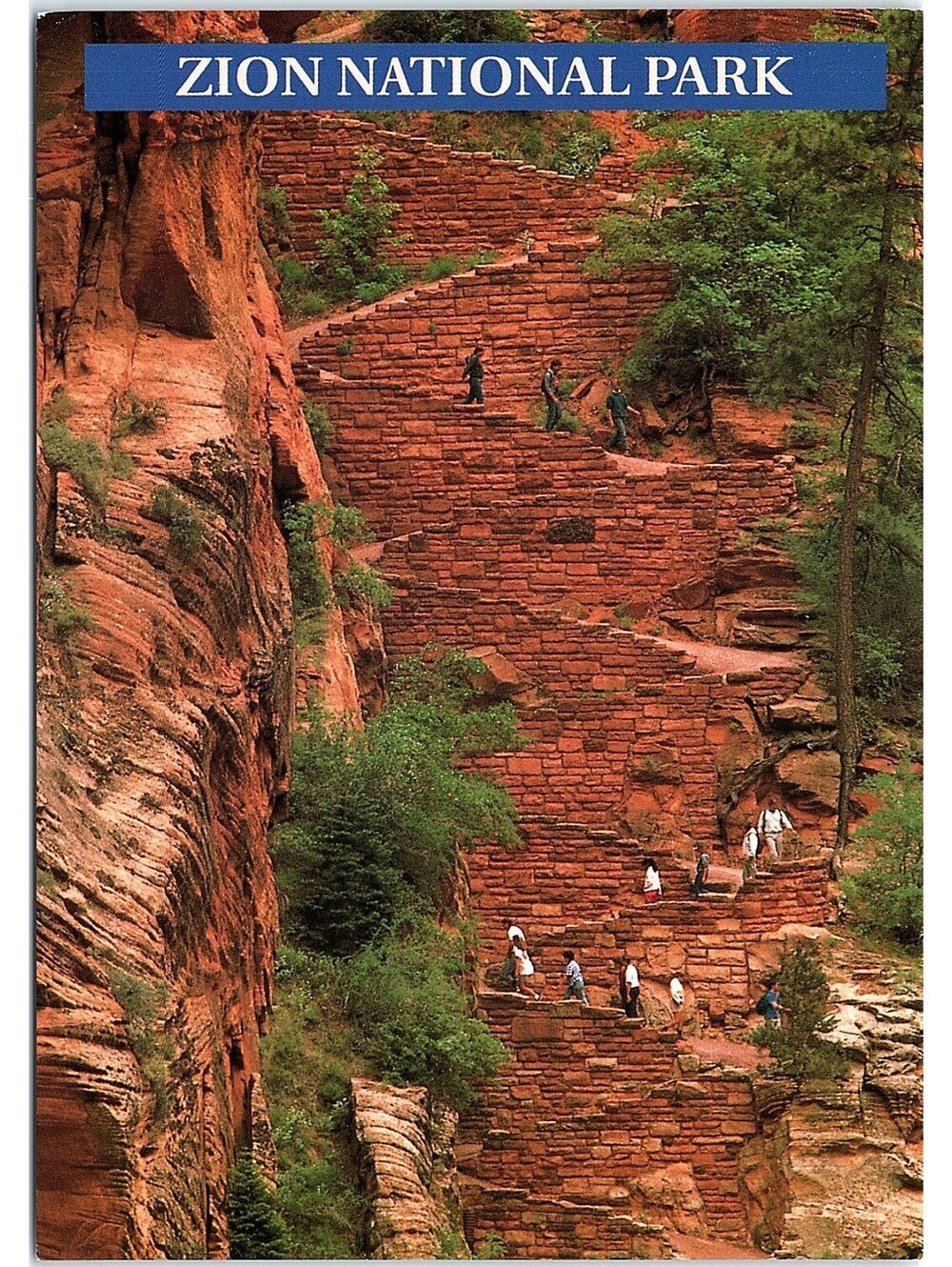 Vintage Postcard Walter's Wiggles Angel's Landing Zion National Park Utah